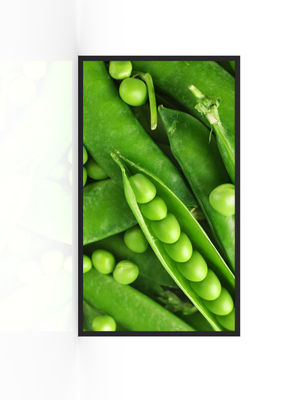 3000nits 防水ディスプレイ広告